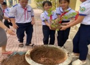 TIẾP TỤC TRIỂN KHAI THỰC HIỆN TRỒNG CÂY XANH VÀ HOA TRONG VÀ NGOÀI KHUÔN VIÊN TRƯỜNG HỌC TIẾP TỤC TRIỂN KHAI THỰC HIỆN TRỒNG CÂY XANH VÀ HOA TRONG VÀ NGOÀI KHUÔN VIÊN TRƯỜNG HỌC